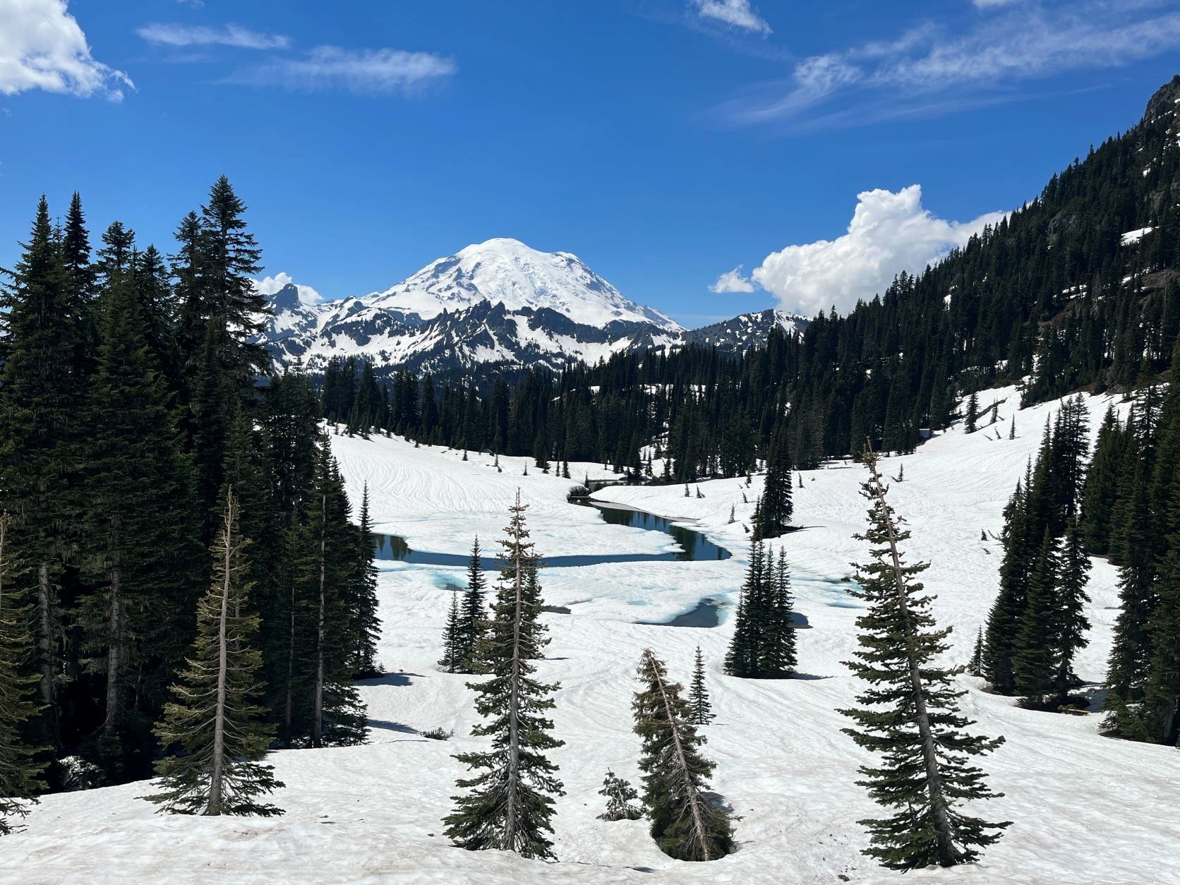 Things to See at Mount Rainier National Park Hiking Mt Rainier